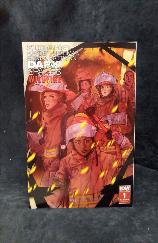 Dark Spaces: Wildfire #1 Cover D 2022 IDW Comic Book