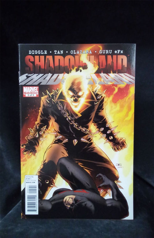 Shadowland #5 2011 Marvel Comic Book
