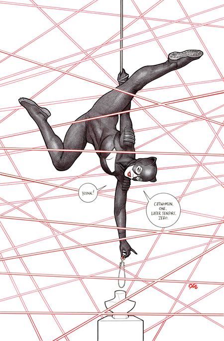 Catwoman #88 Cvr B Frank Cho Card Stock Var DC Comics Comic Book