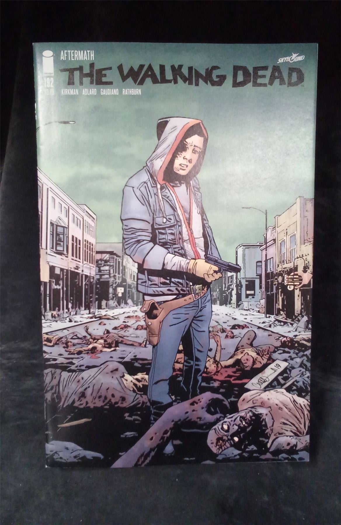 The Walking Dead #192 2019 Skybound Comic Book