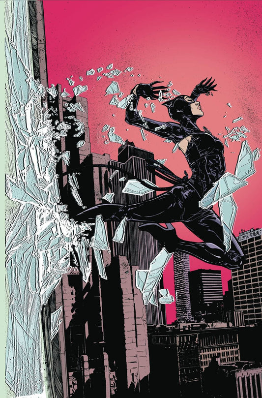 Catwoman #5 DC Comics Comic Book