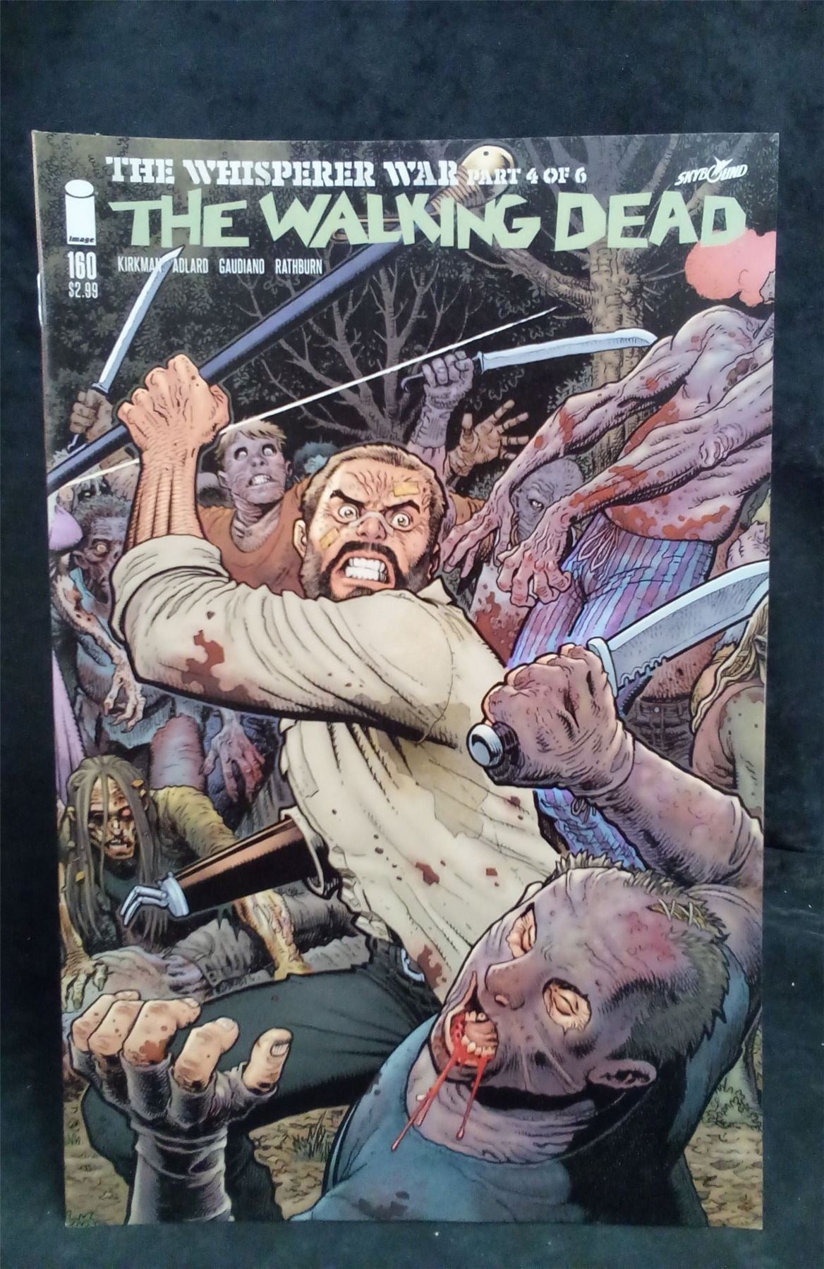 The Walking Dead #160 Variant Cover 2016 Skybound Comic Book