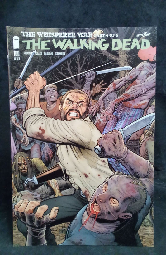 The Walking Dead #160 Variant Cover 2016 Skybound Comic Book