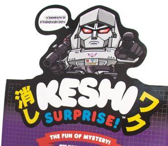 Transformers Keshi Surprise Decepticons Flat by Super7
