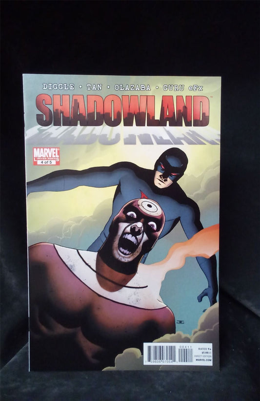 Shadowland #4 2010 Marvel Comic Book