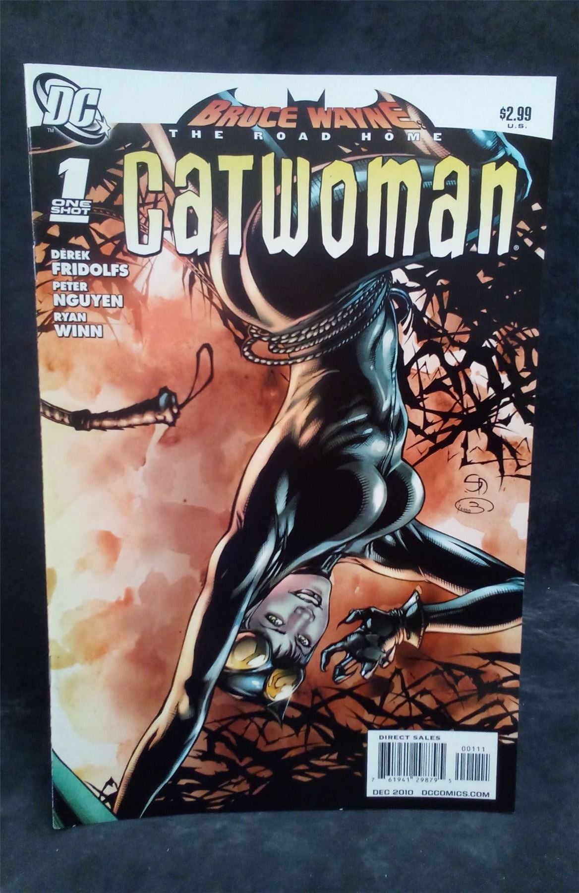 Bruce Wayne: The Road Home: Catwoman 2010 DC Comics Comic Book