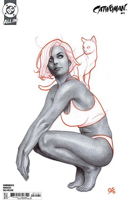 Catwoman #71 Cvr B Frank Cho Card Stock Var DC Comics Comic Book