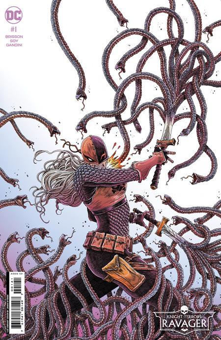 Knight Terrors Ravager #1 (of 2) Cvr E Inc 1:25 James Stokoe Card Stock Var DC Comics Comic Book