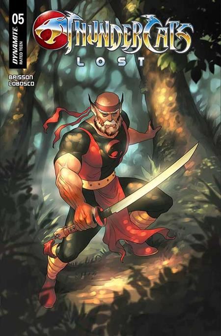 THUNDERCATS LOST #5 CVR C MEGHAN HETRICK VAR  DYNAMITE Entertainment Comic Book 2025