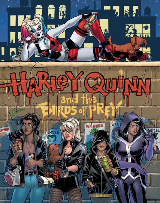 Harley Quinn And The Birds Of Prey #1 () DC Comics Comic Book 2020