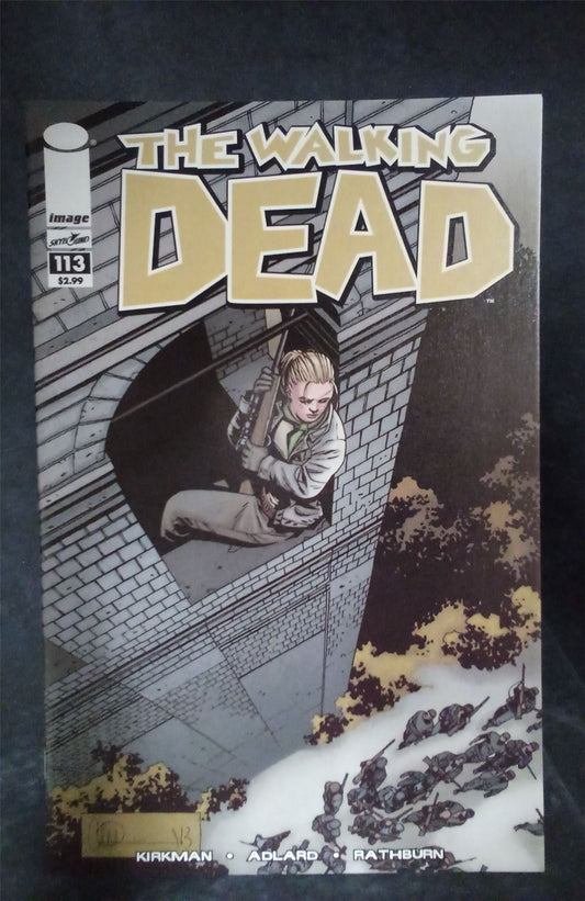 The Walking Dead #113 2013 skybound Comics Comic Book