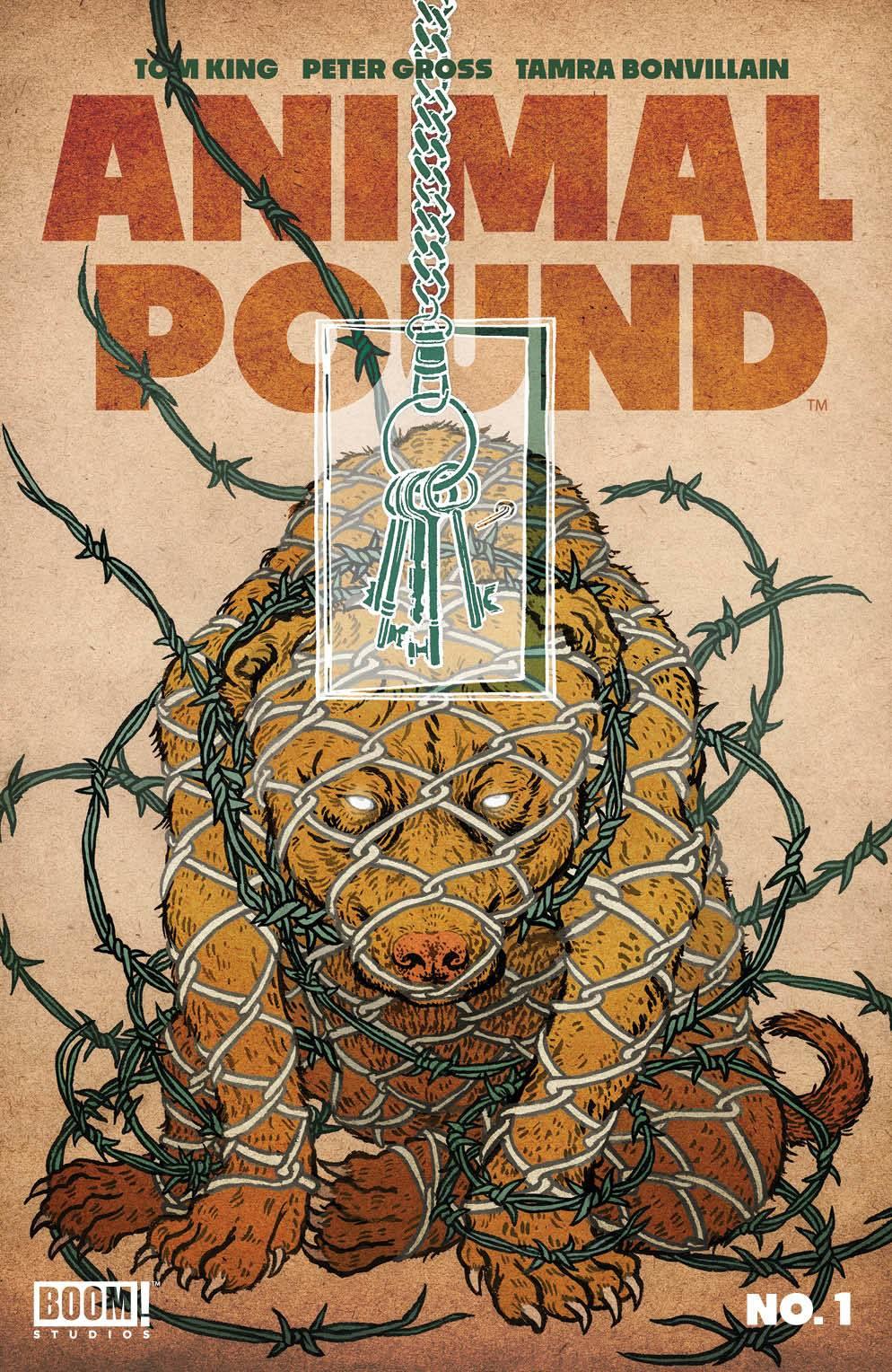 Animal Pound #1 (of 4) Cvr B Shimizu (mr) Boom! Studios Comic Book