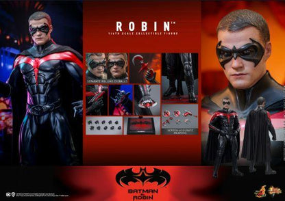 Robin 1/6 Scale Action Figure Batman & Robin by Hot Toys
