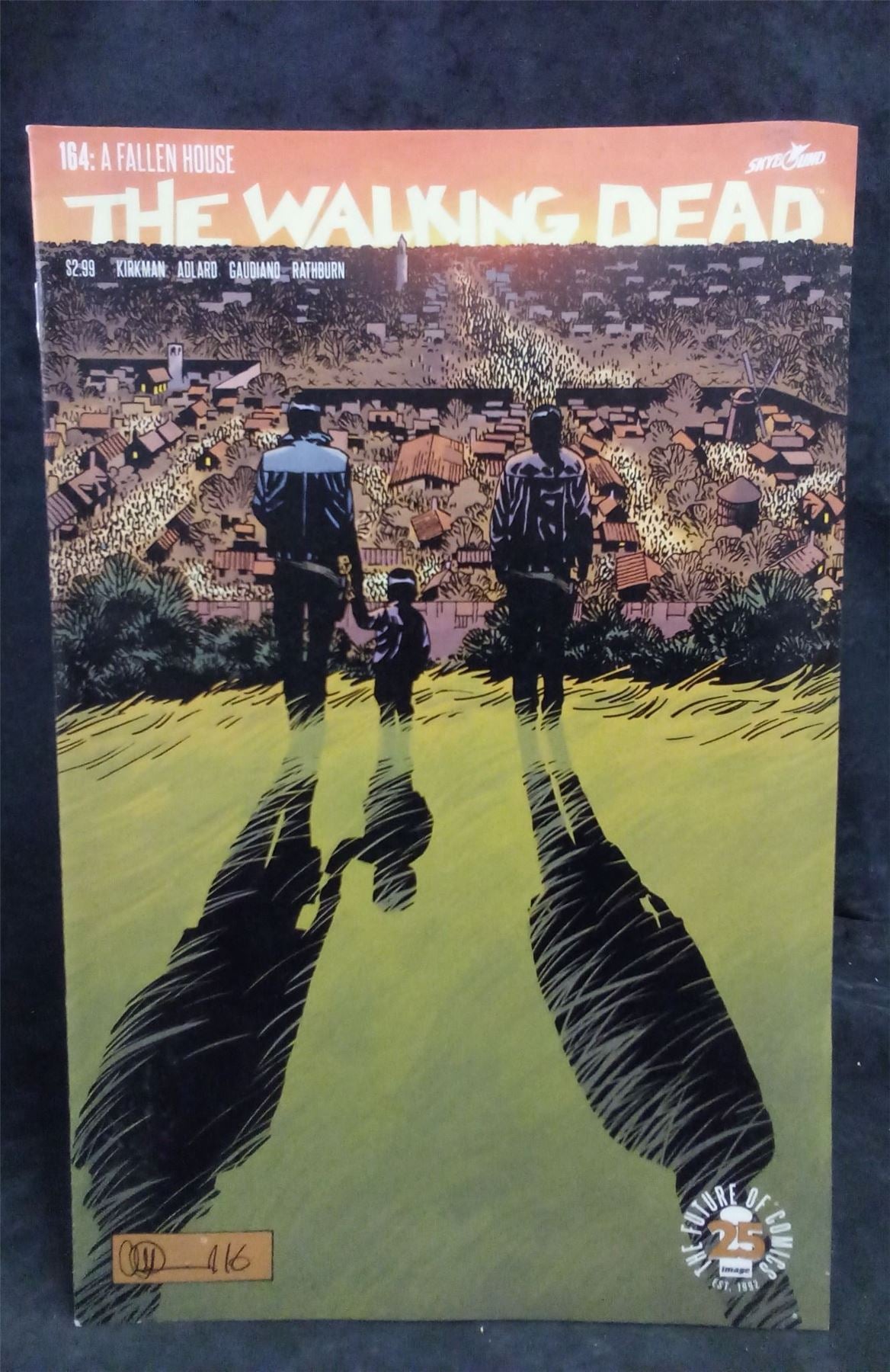 The Walking Dead #164 2017 Skybound Comic Book