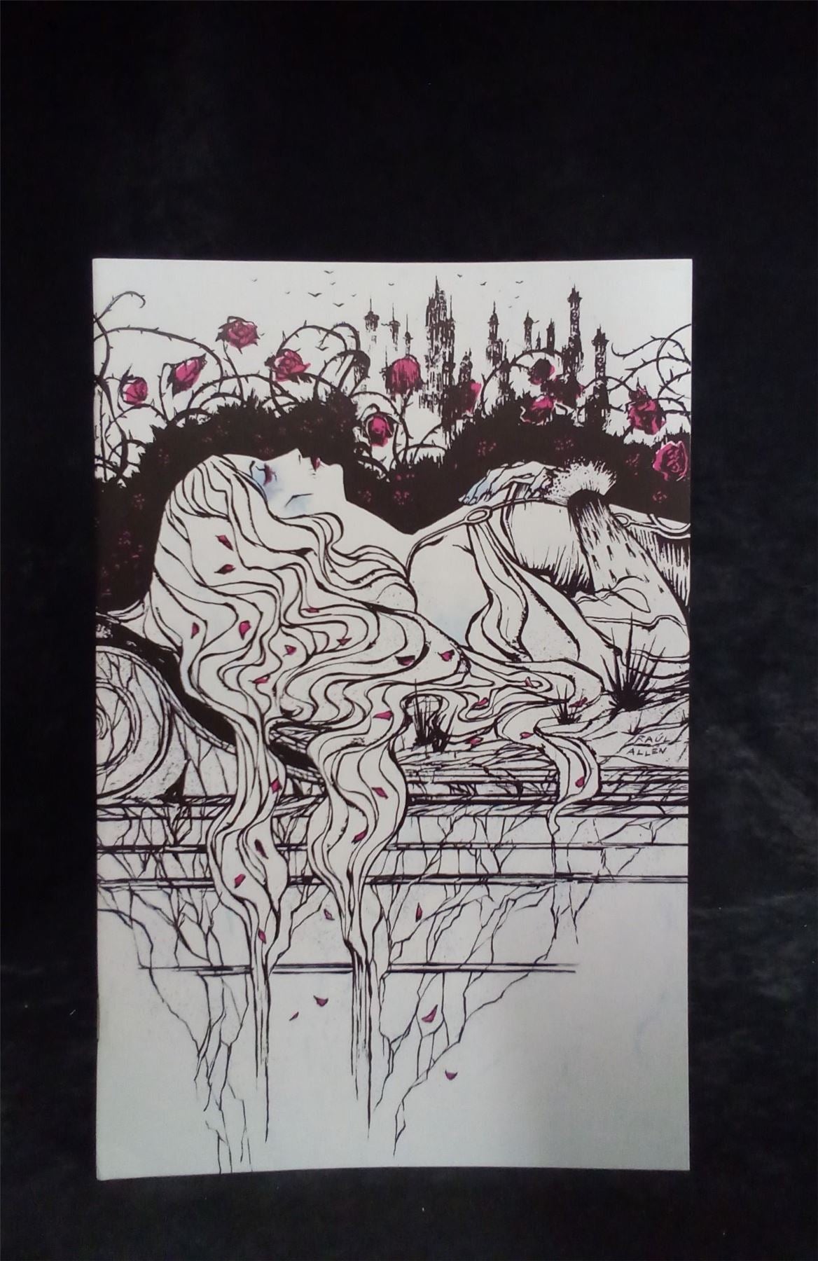 Briar #3 Cover F 2023 Boom Studios Comic Book