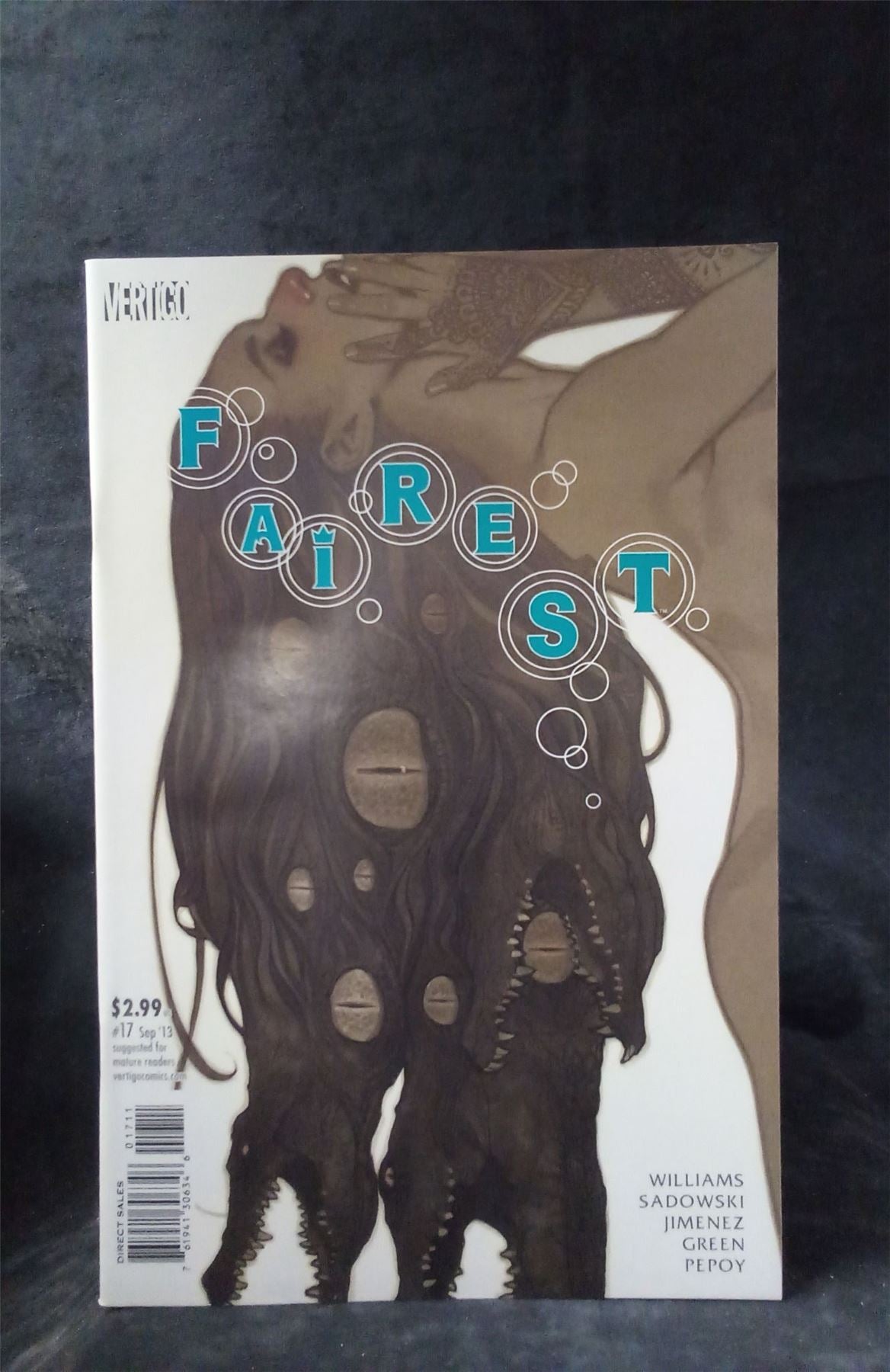 Fairest #17 2013 DC Comics Comic Book