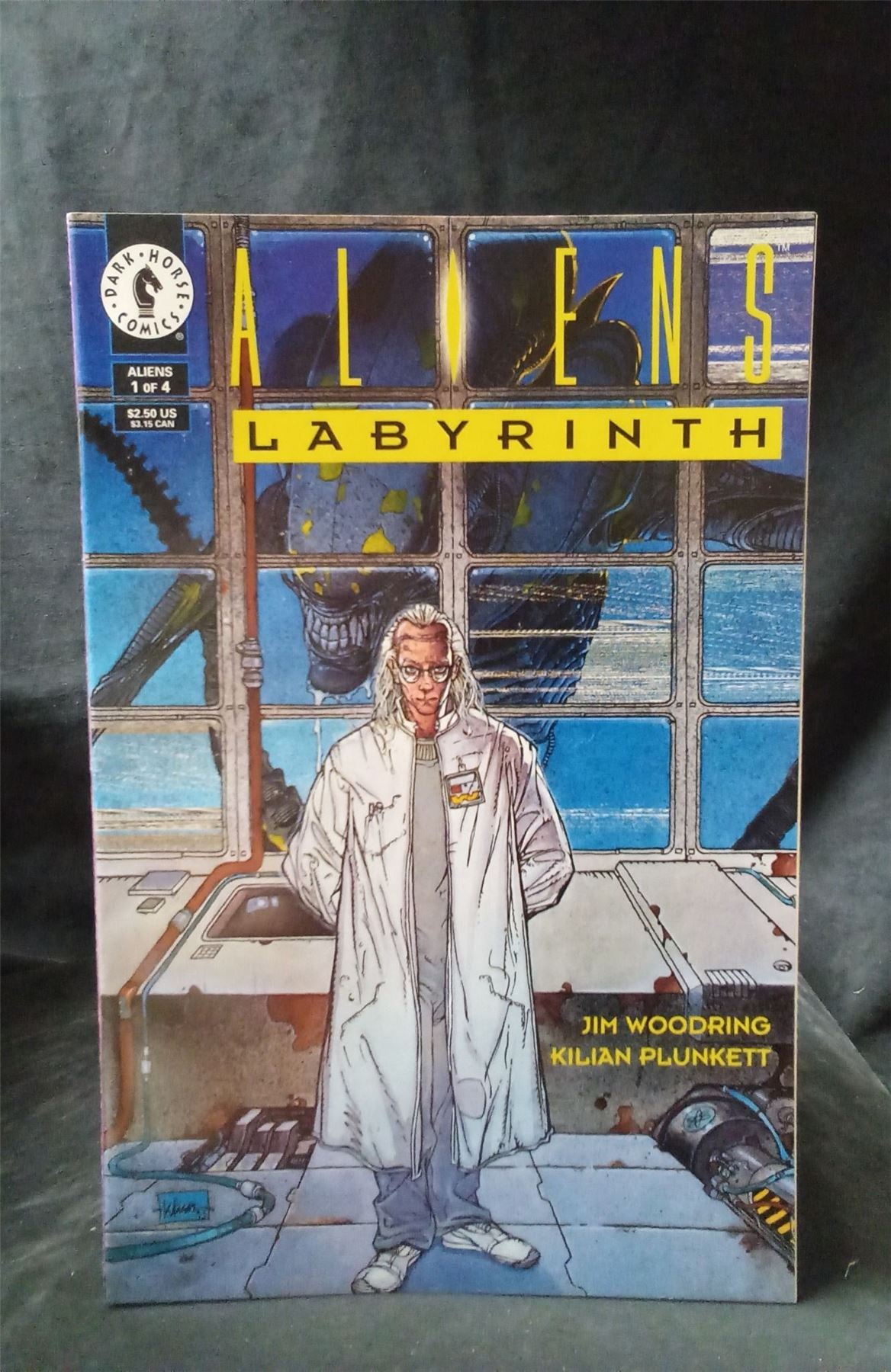 Aliens: Labyrinth #1 1993 not-specified Comic Book