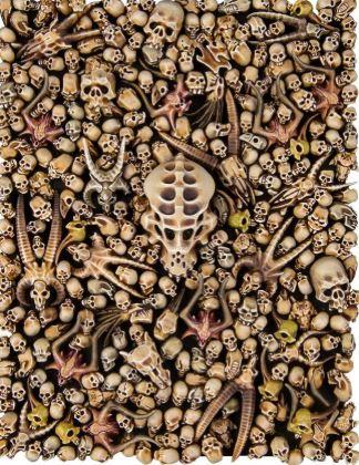 Warhammer Citadel Skulls 64-29 By Games Workshop
