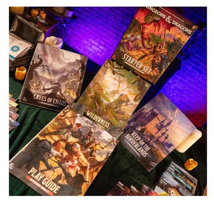 D&D, 5e: Starter Set- Heroes of the Borderlands By Wizards of the Coast Table Top Game
