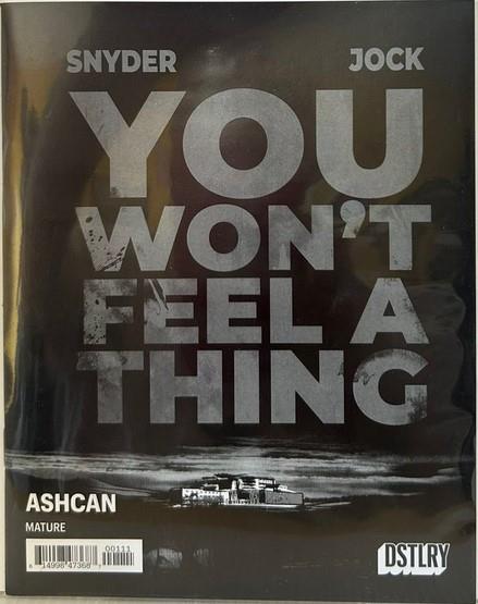 You Wont Feel A Thing & City Beneath Her Feet Promo Ashcan ( Dstlry Media Comic Book