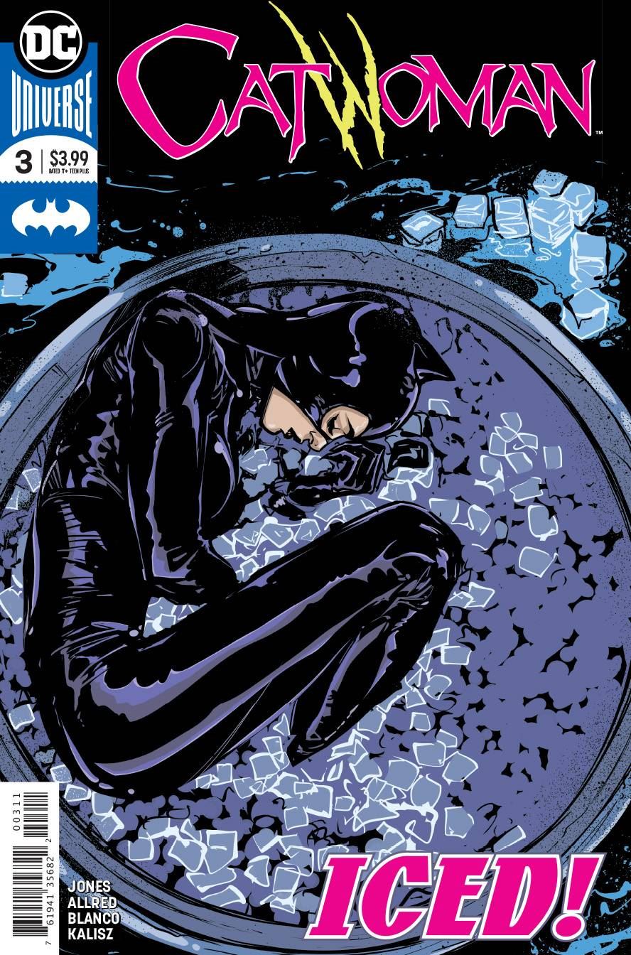 Catwoman #3 DC Comics Comic Book