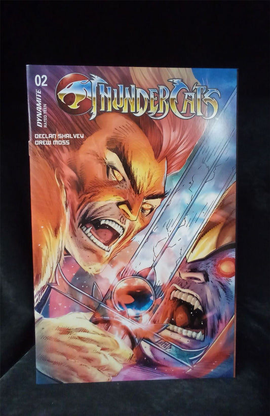 Thundercats #2 Cover K 2024 Dynamite Comic Book