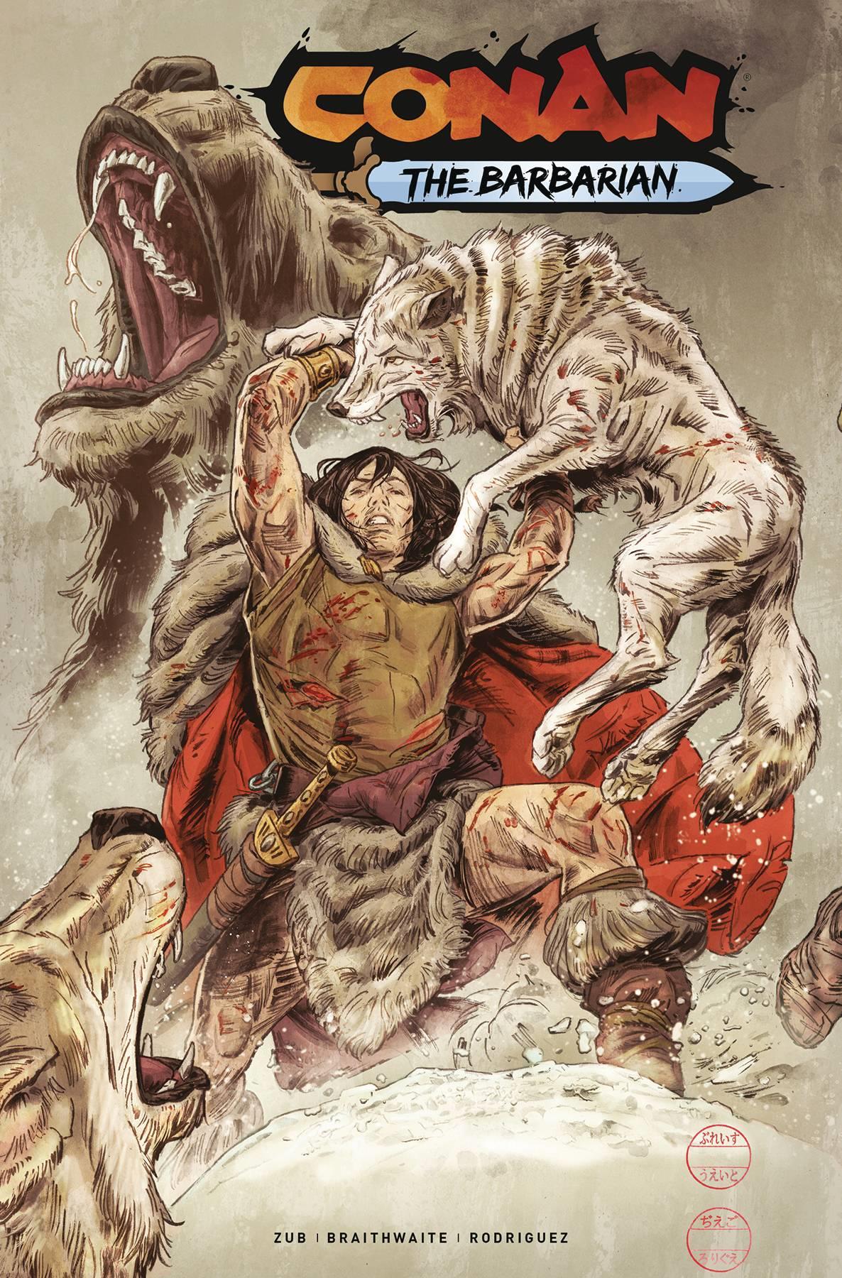 Conan Barbarian #13 Cvr C Braithwaite (mr) Titan Comics Comic Book