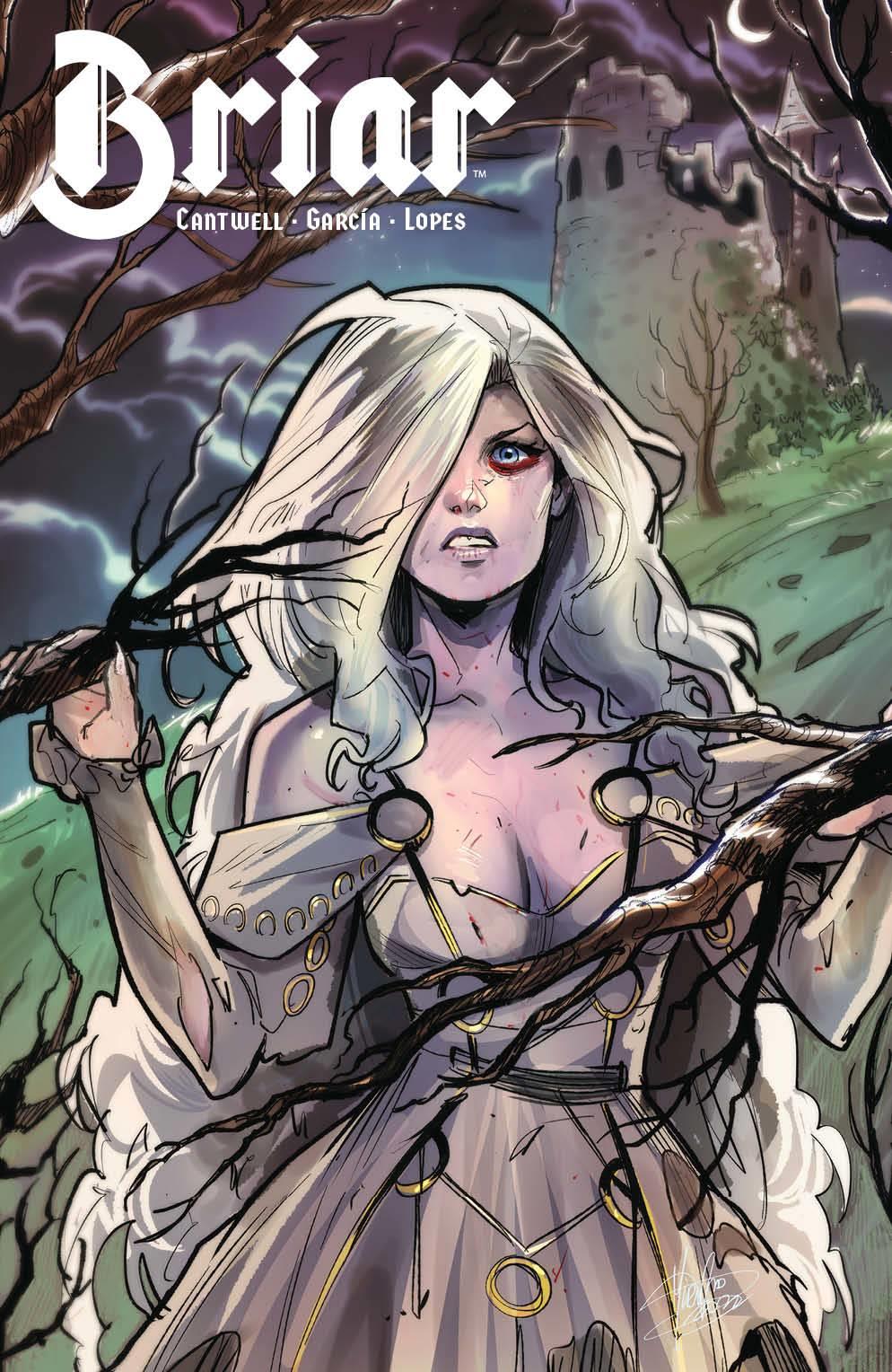 Briar #1 (of 4) Cvr C Andolfo Boom! Studios Comic Book
