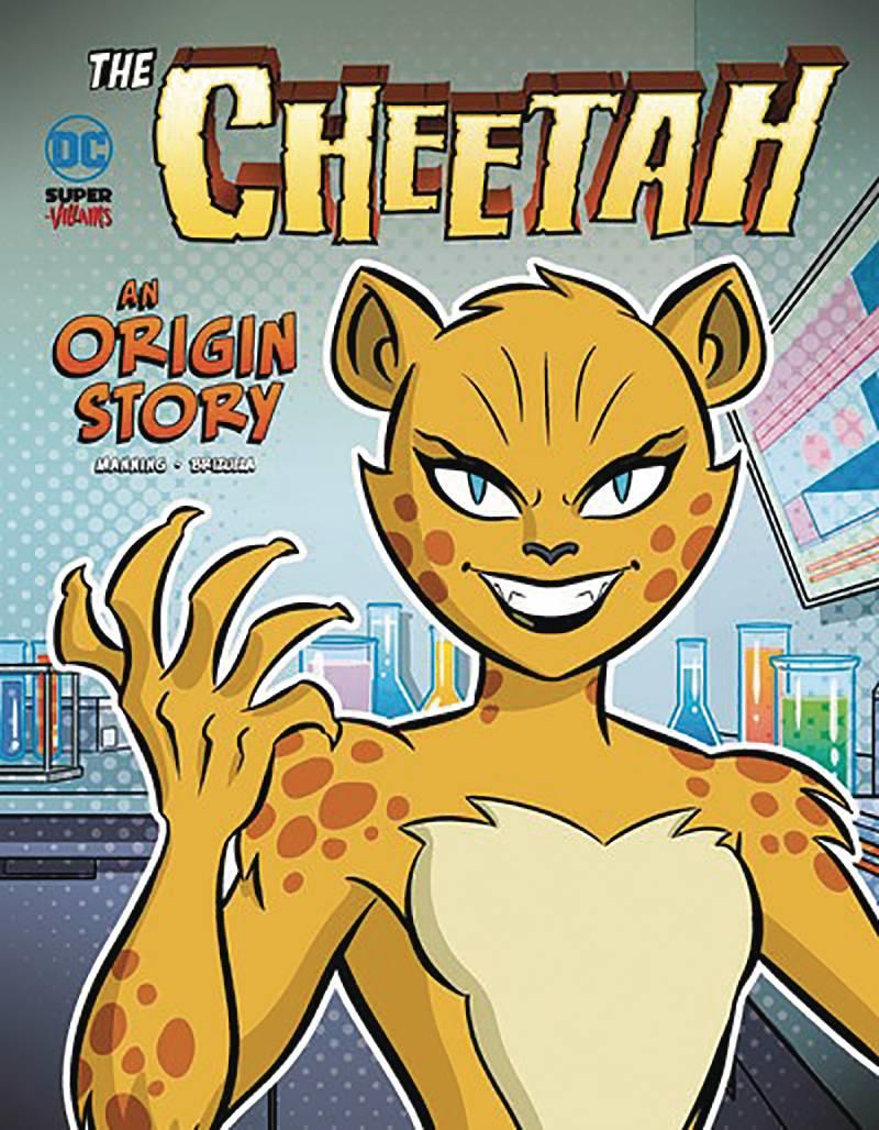 Dc Super Villains Origins Sc Cheetah Stone Arch Books Comic Book