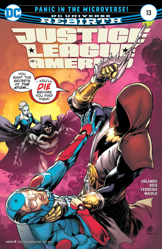 Justice League Of America #13 DC Comics Comic Book