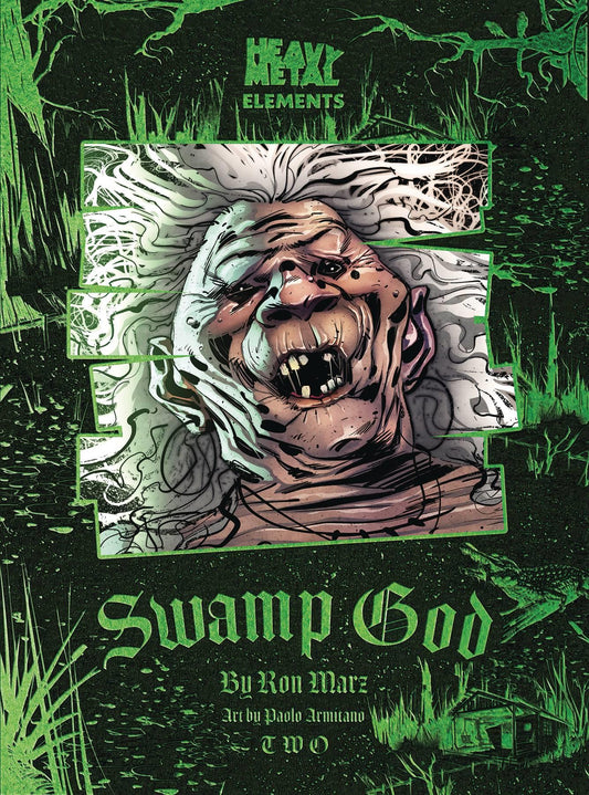 Swamp God #2 (of 6) (mr) Heavy Metal Magazine Comic Book