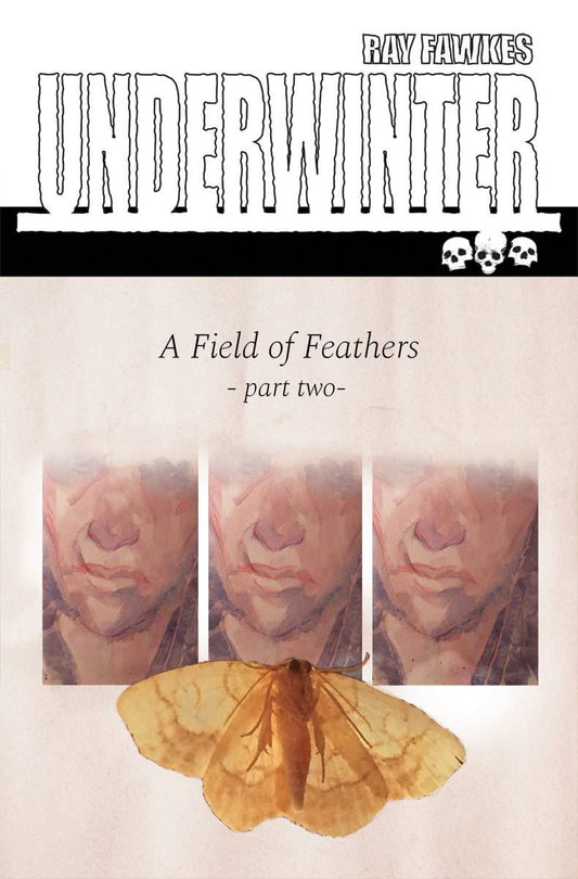 Underwinter Field Of Feathers #2 () Image Comics Comic Book