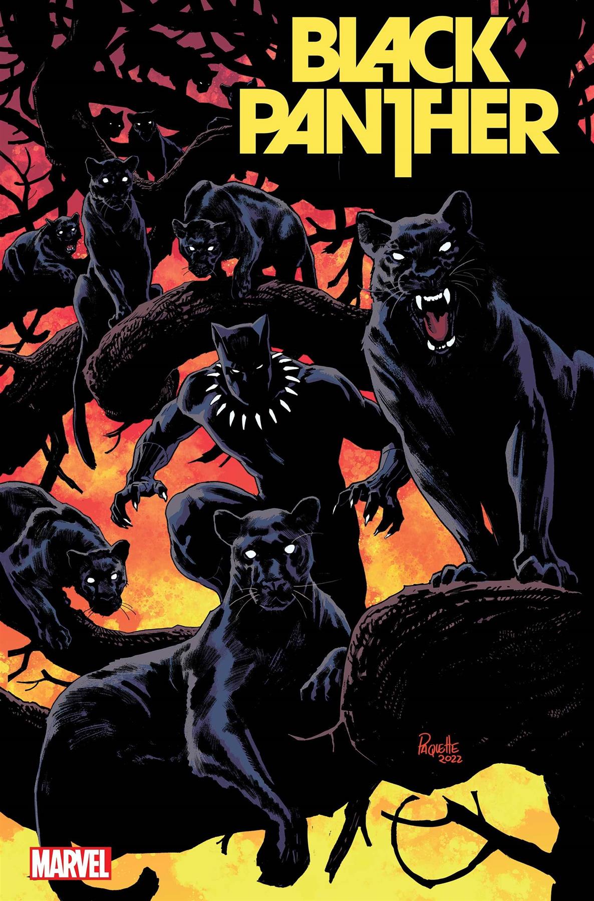 Black Panther #8 Paquette Var (Paquette Var) Marvel Prh Comic Book 2022